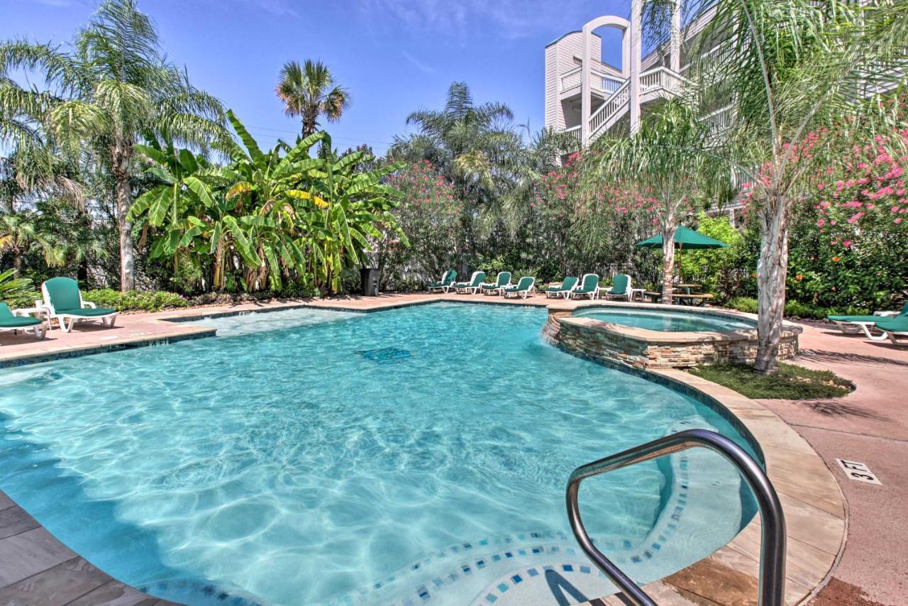 Galveston Condo With Oceanfront Views And 2 Pools Eksteriør bilde